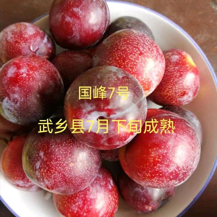 平平安安