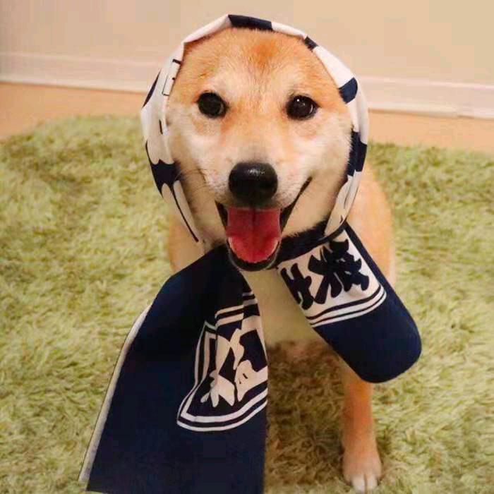 月芽の生活日记