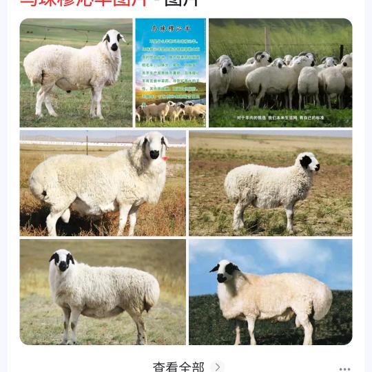 呼伦贝尔洪友