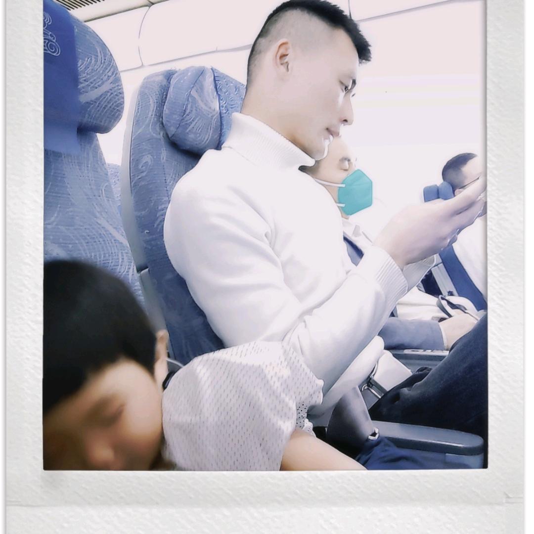 鲁F
