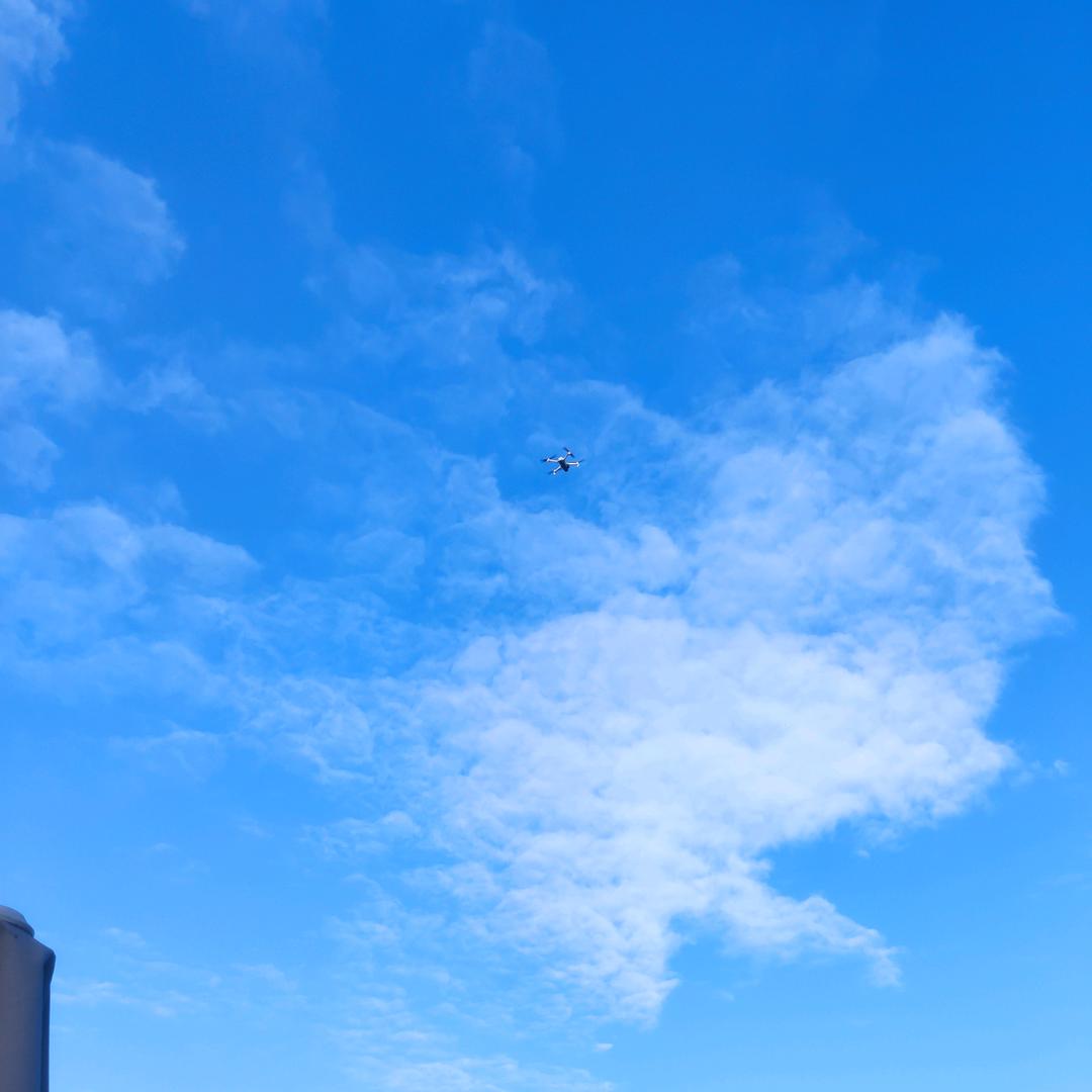 萧萧兮沂水