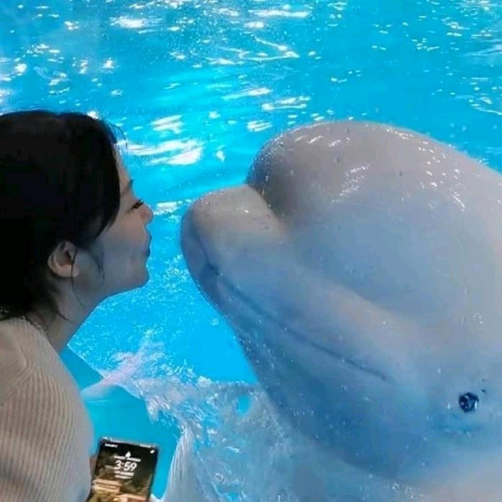 时光清浅🐰头像