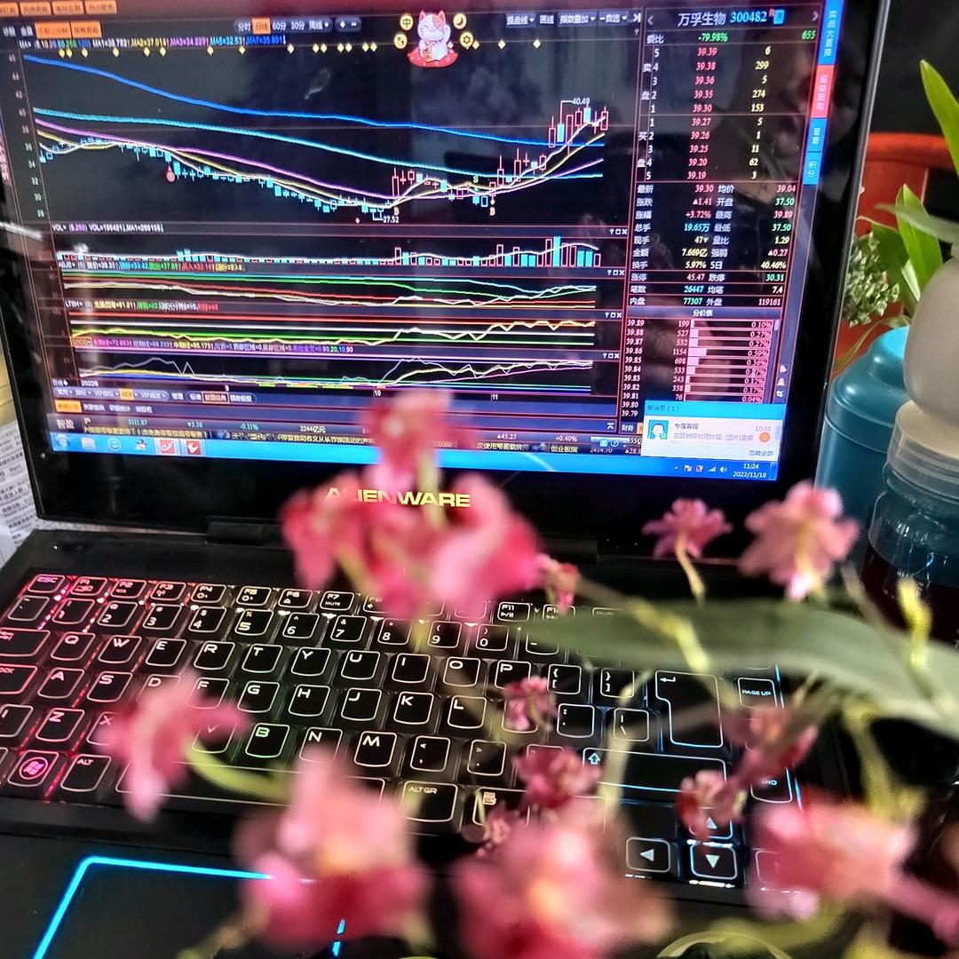欧瑞莲