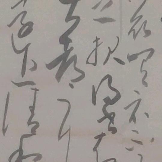 盘龙山妞