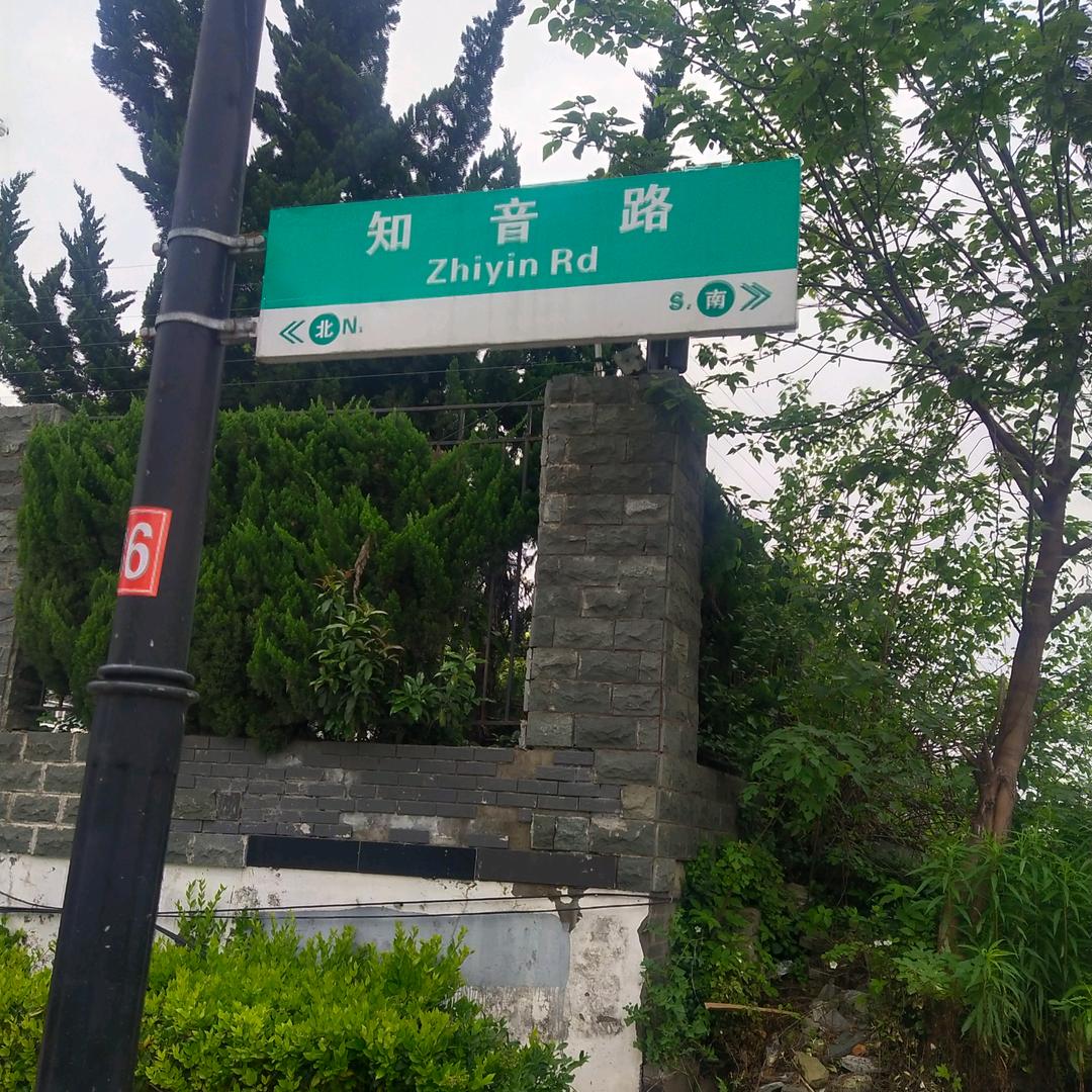 山花烂漫时