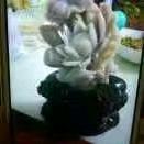 严俊丽棋牌室