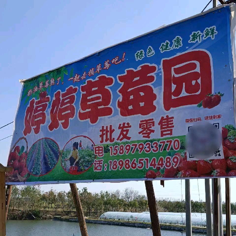 （武穴市城东新矶）🍓婷婷草莓🍓