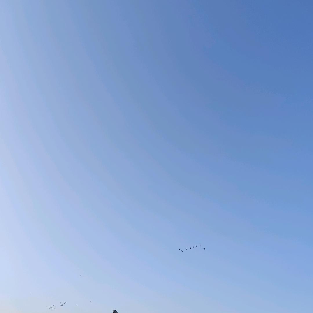 🌈'੯‧̀͡⬮\路