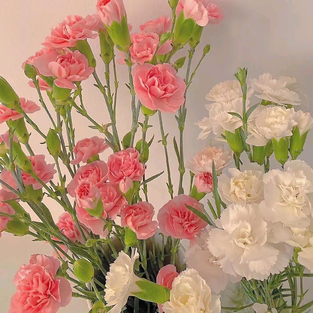 小懒猪꒰ঌ(˚ᆺ˚)໒꒱(●'◡