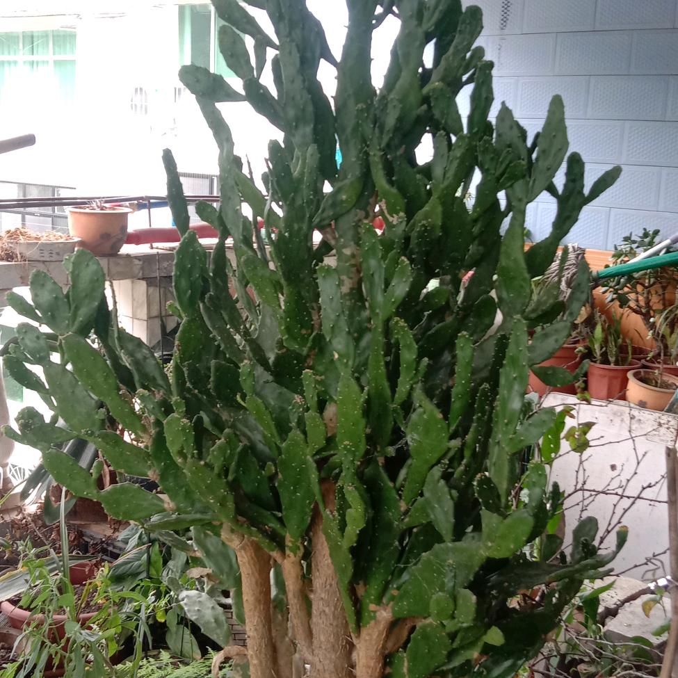 忘记过去，珍惜现在