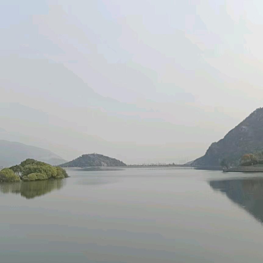夏天的麦子