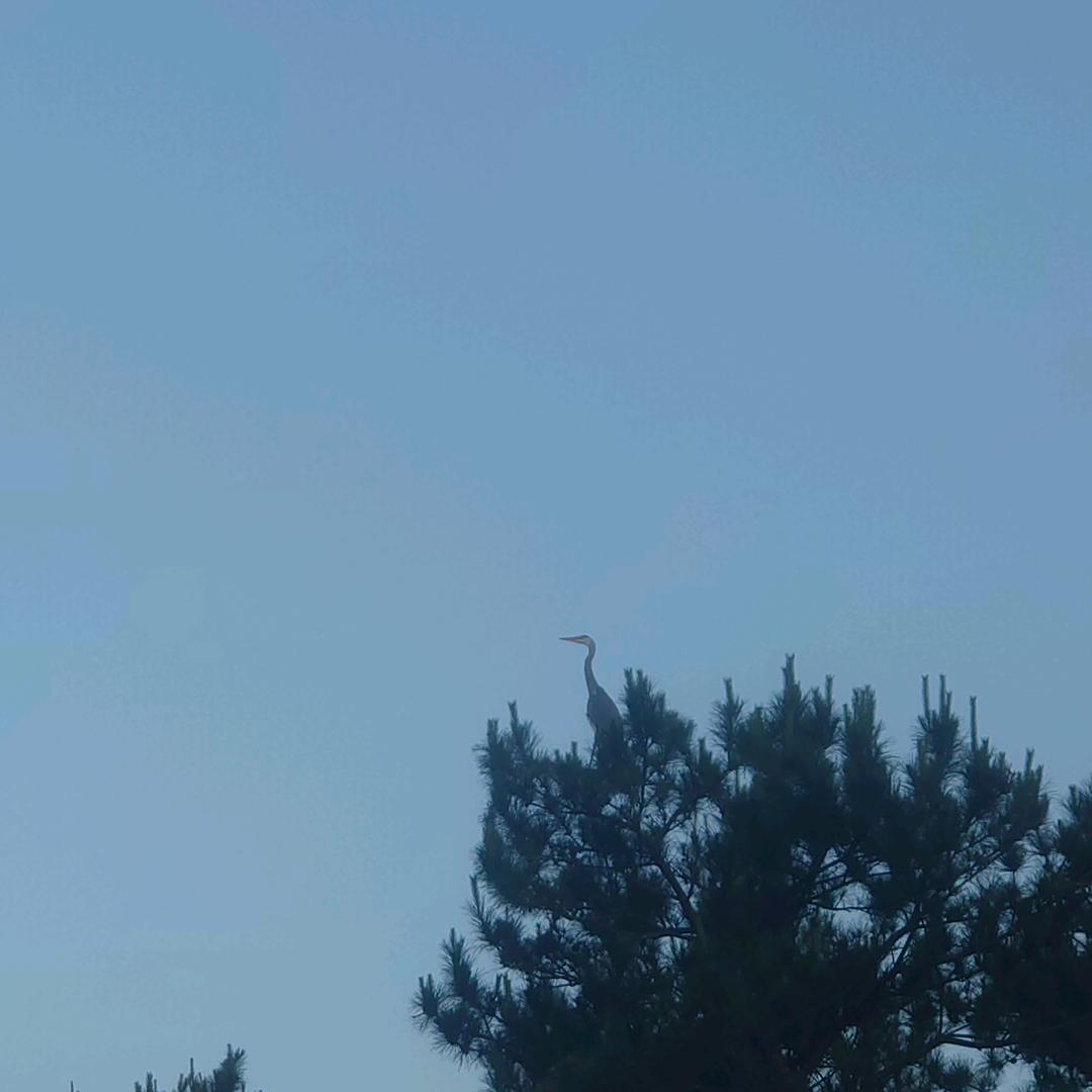 清泉～