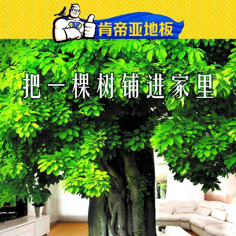 肯帝亚地板  地胶 地毯—保定方北店