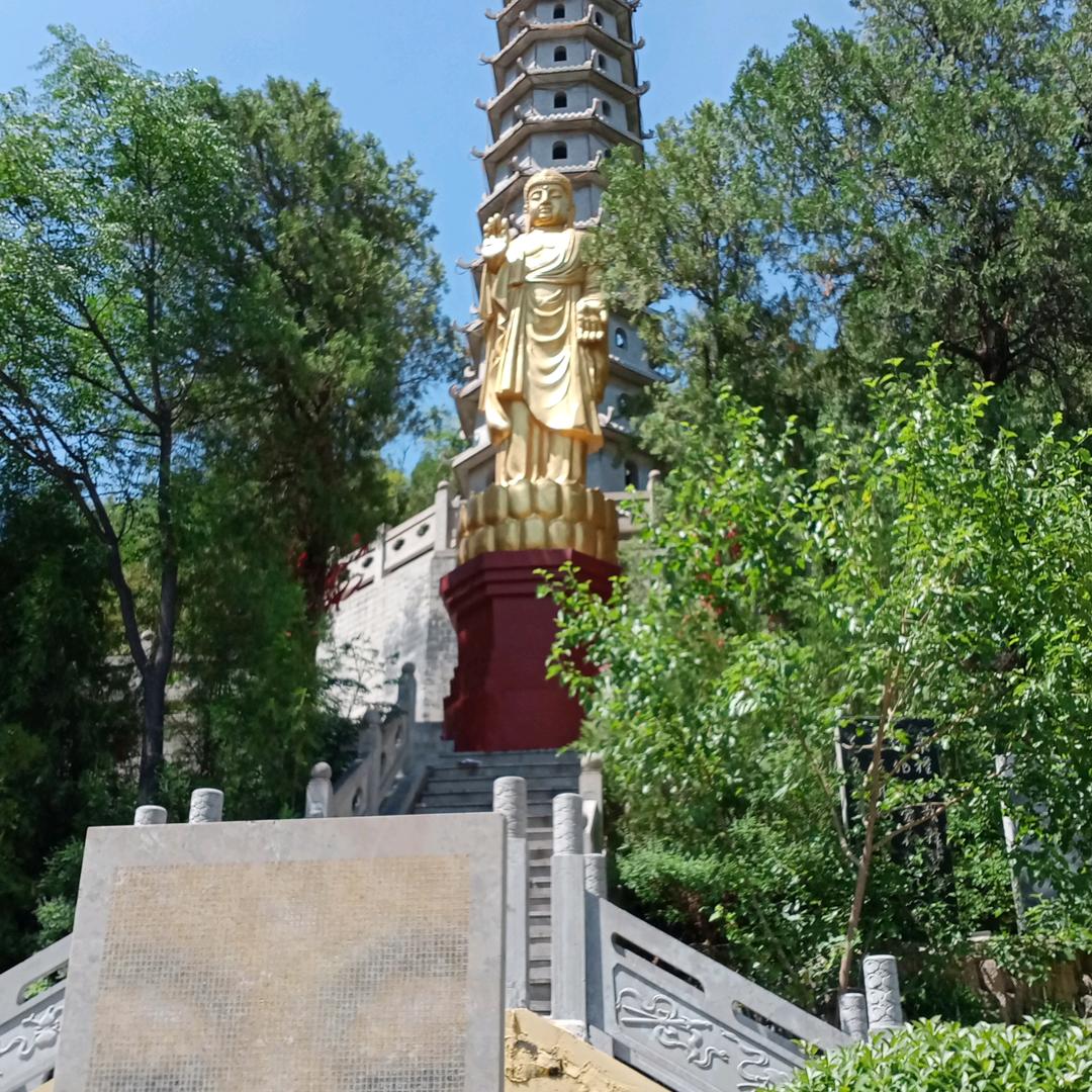 佛赐妙春