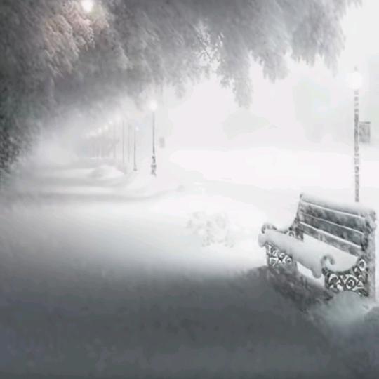 我已不是陈家大小姐