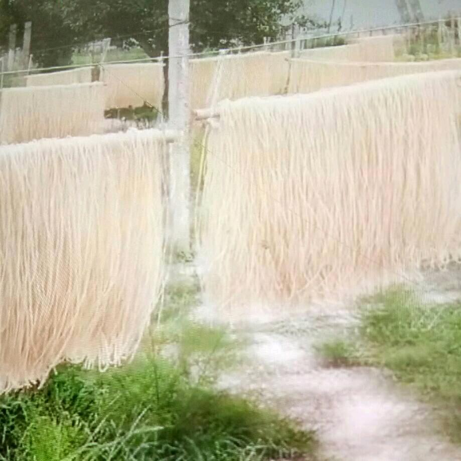 粉条加工厂