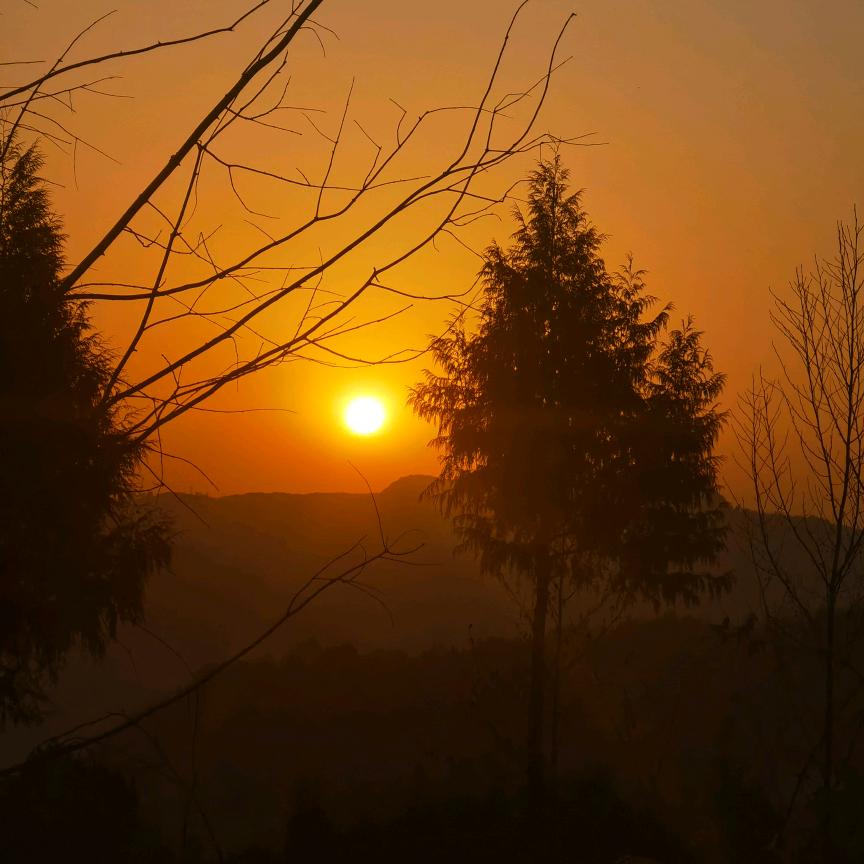 七分之二的相遇