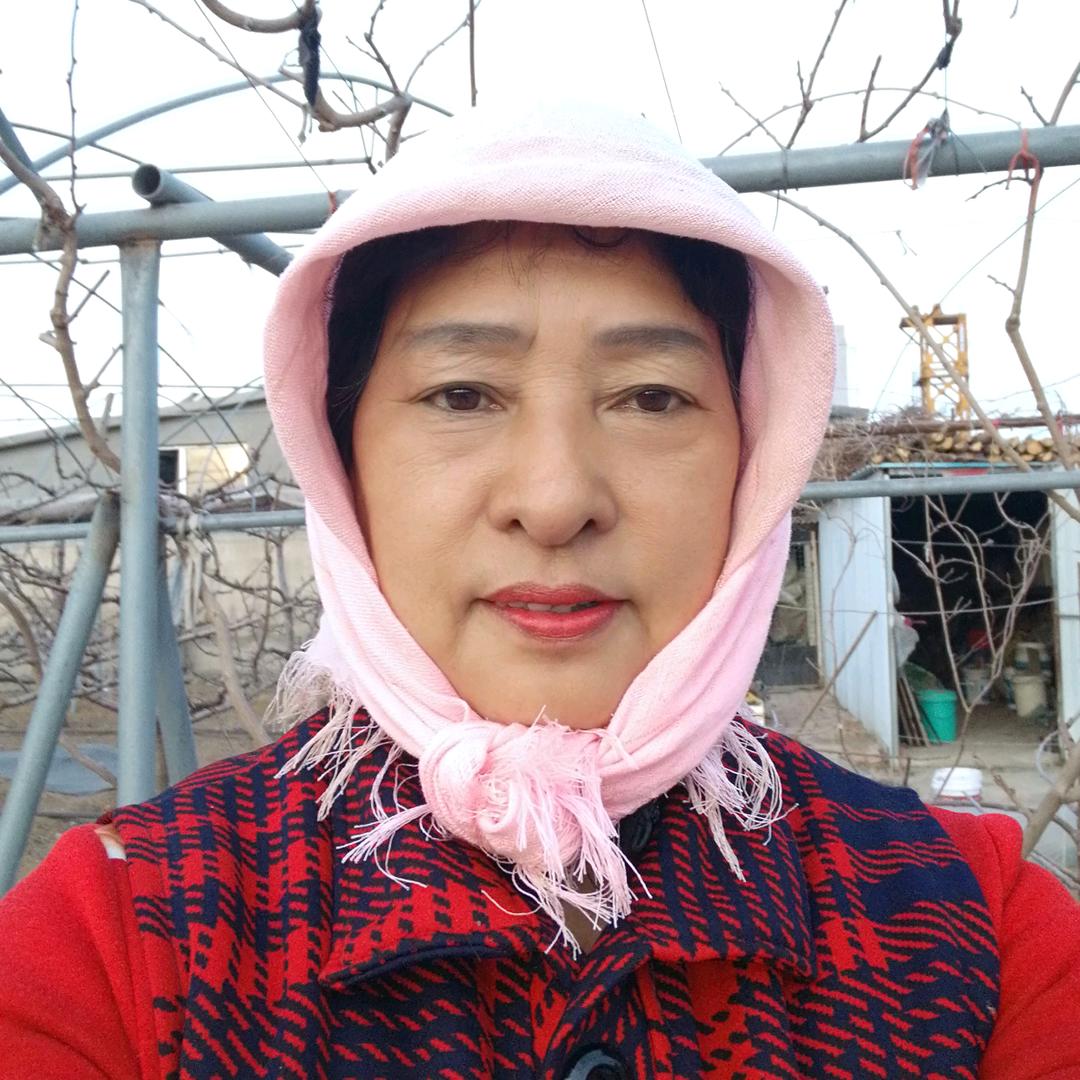 金莲