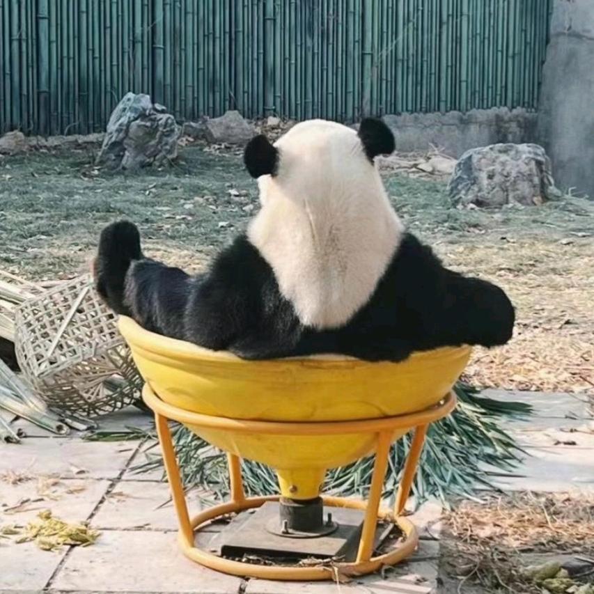 粤渔盛