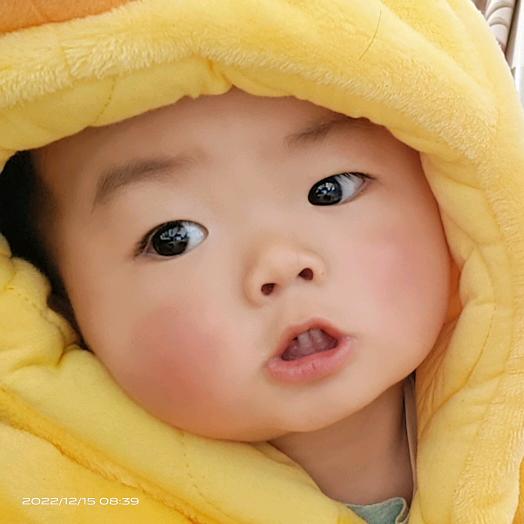 家有小双胞兄弟