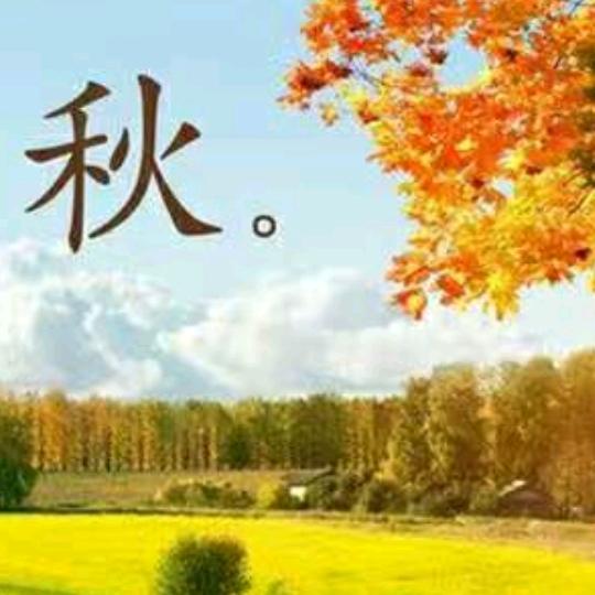 草莓柿子