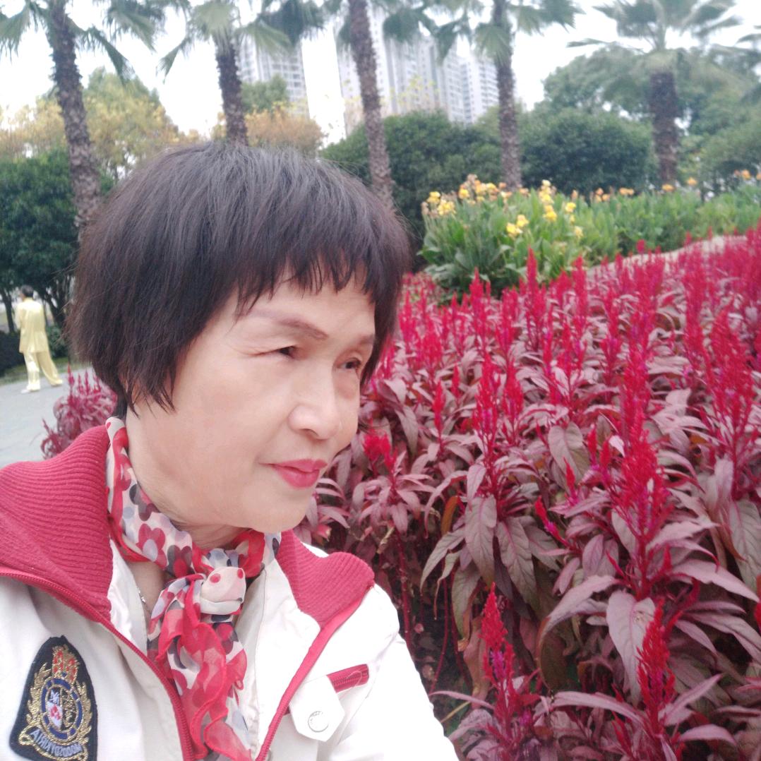 红梅