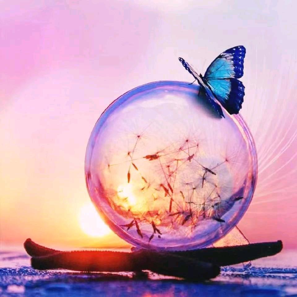 简单笑生活