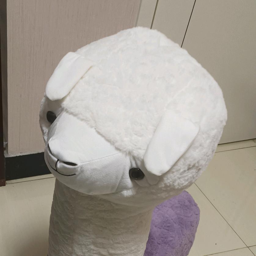 钓龙猫的鱼