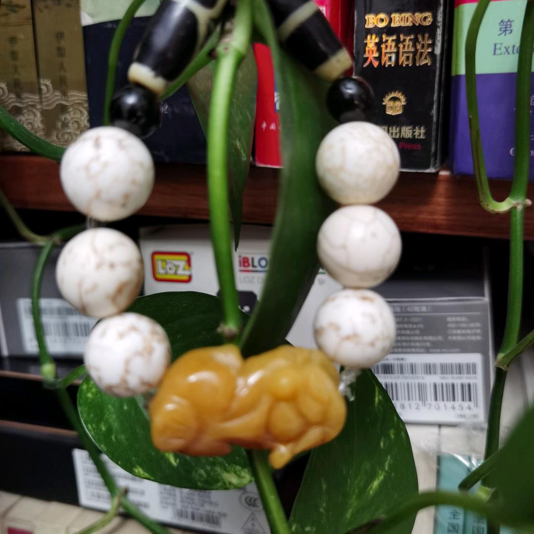 s龙哥