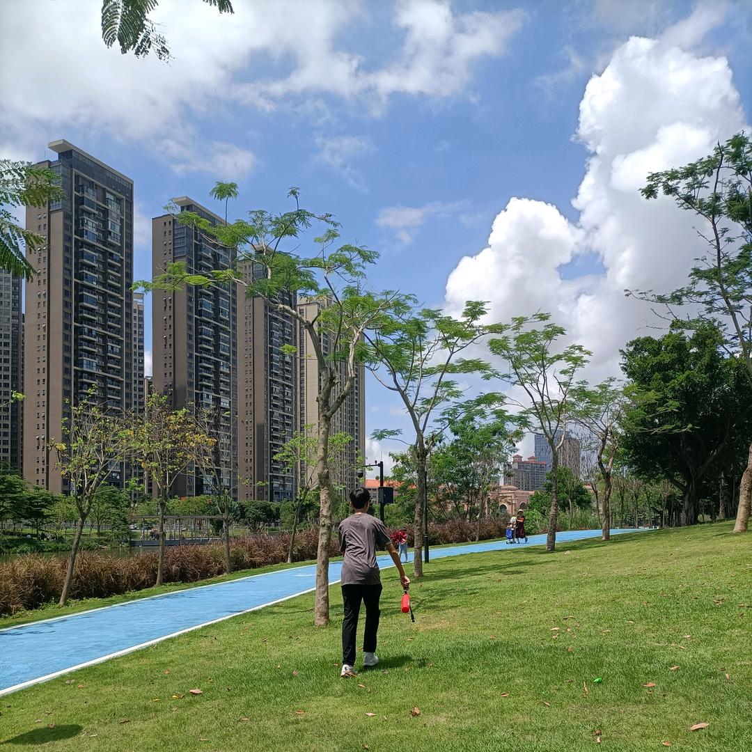 白桦🦆记录时光的印记