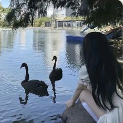 小🐏.