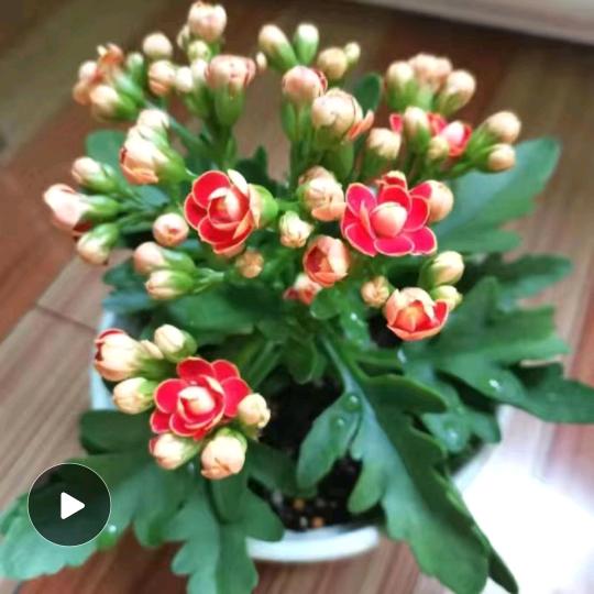 时光荏苒.