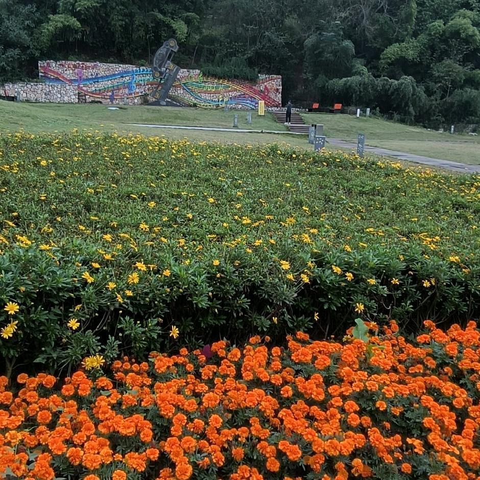 邱秋文案《好物在橱窗》
