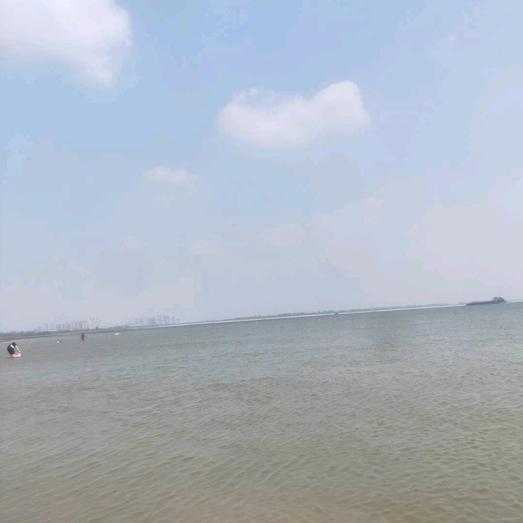 兆宇