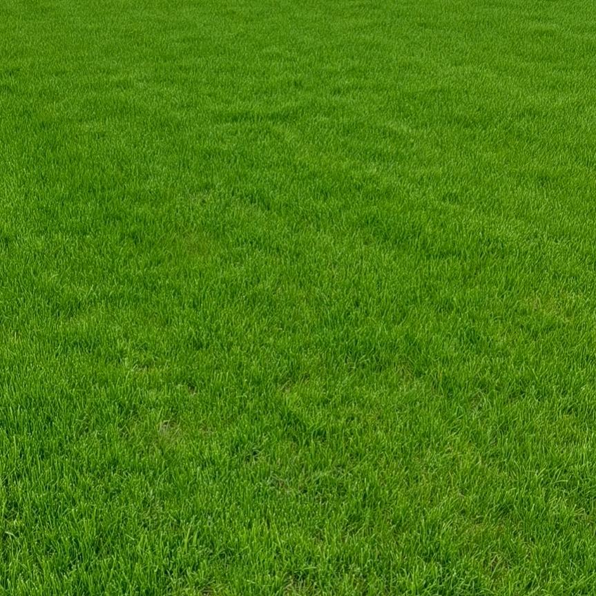 ～鑫～