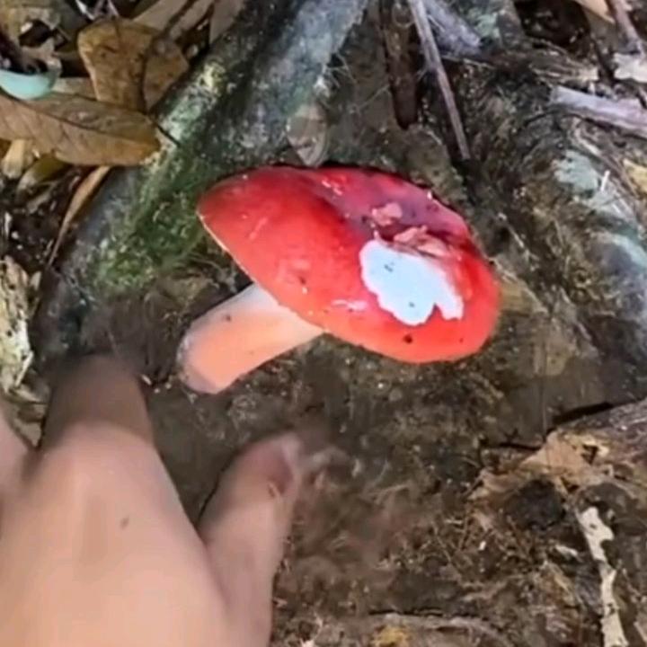 那山那水