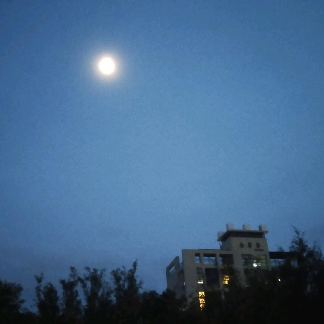 六月久久