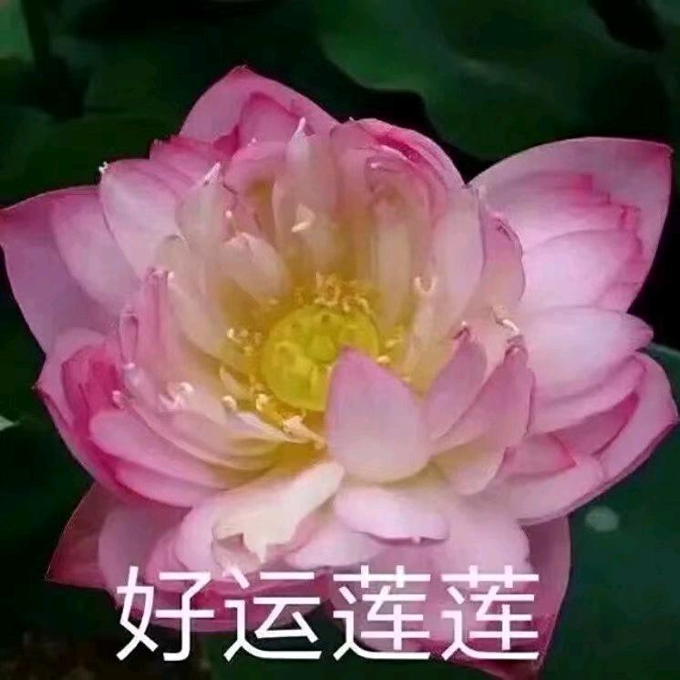 万年幸福