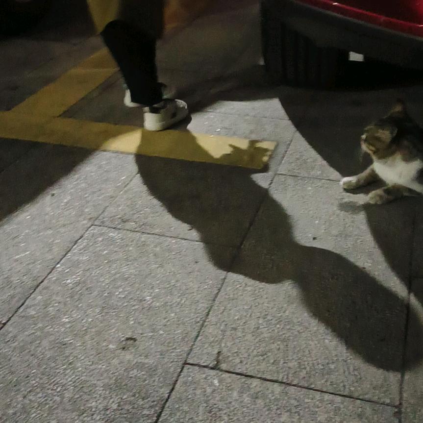 唯