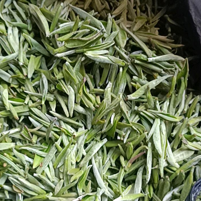 金浩斯特肥料代理点，高效肥，营业叶包产量