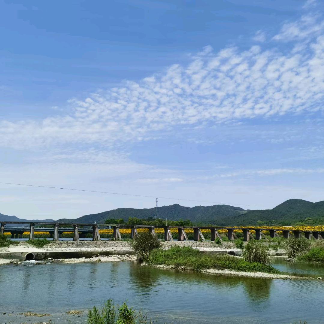 沫之夏