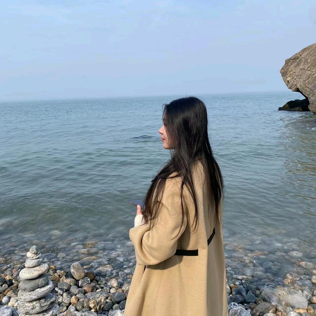 会做手工狗的冰雪