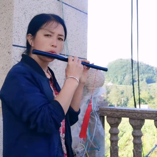 杨i