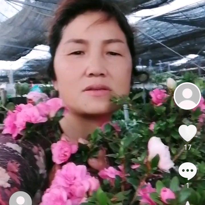 无锡绿色植物批发中心