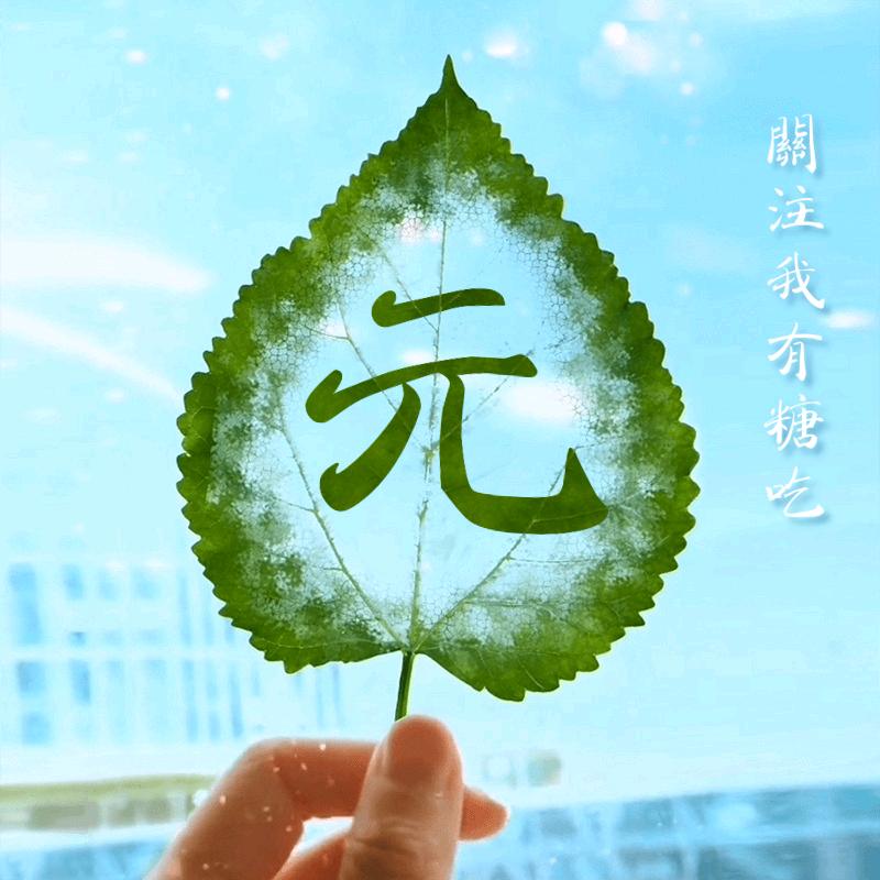 雨后霞阳