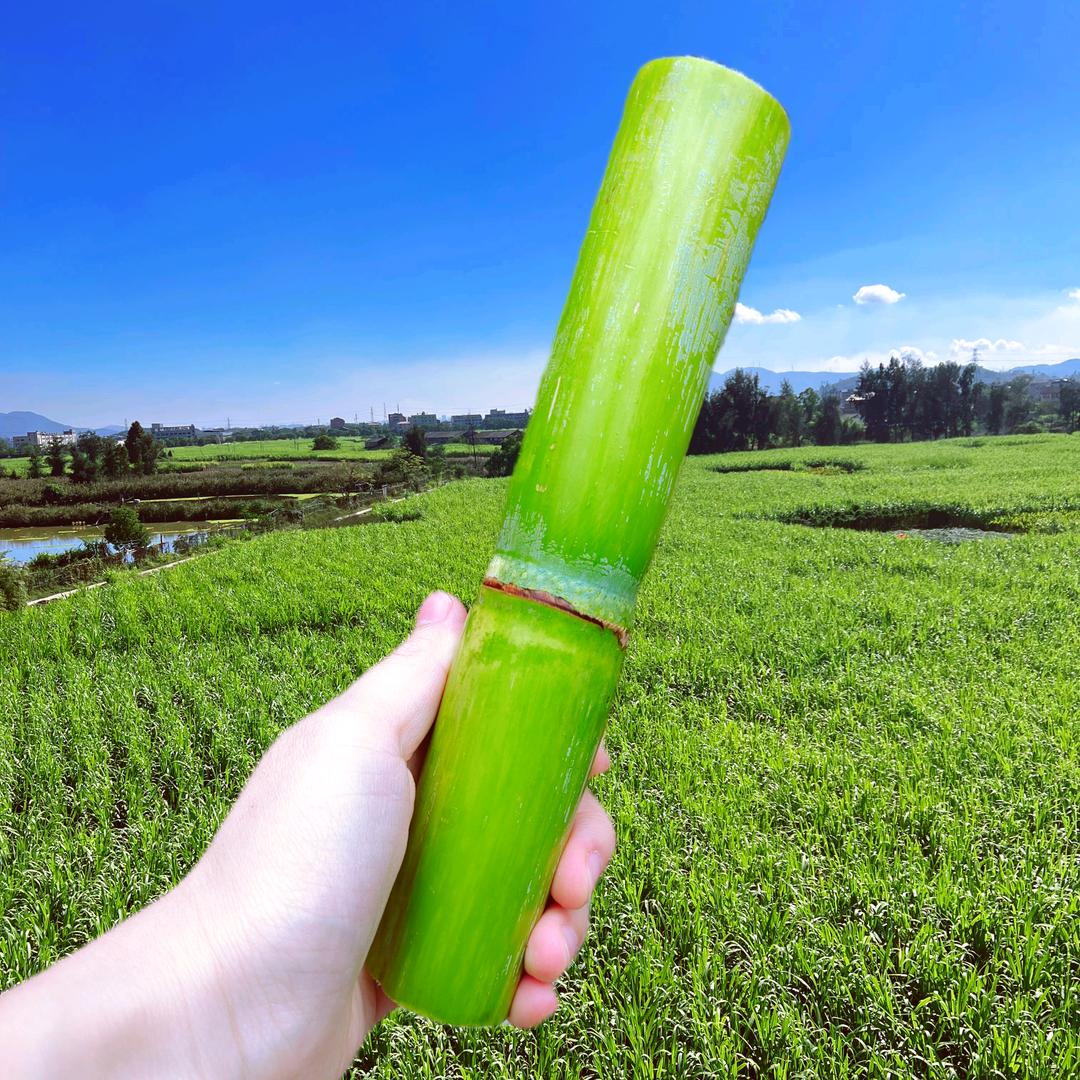 陶山甘蔗铺