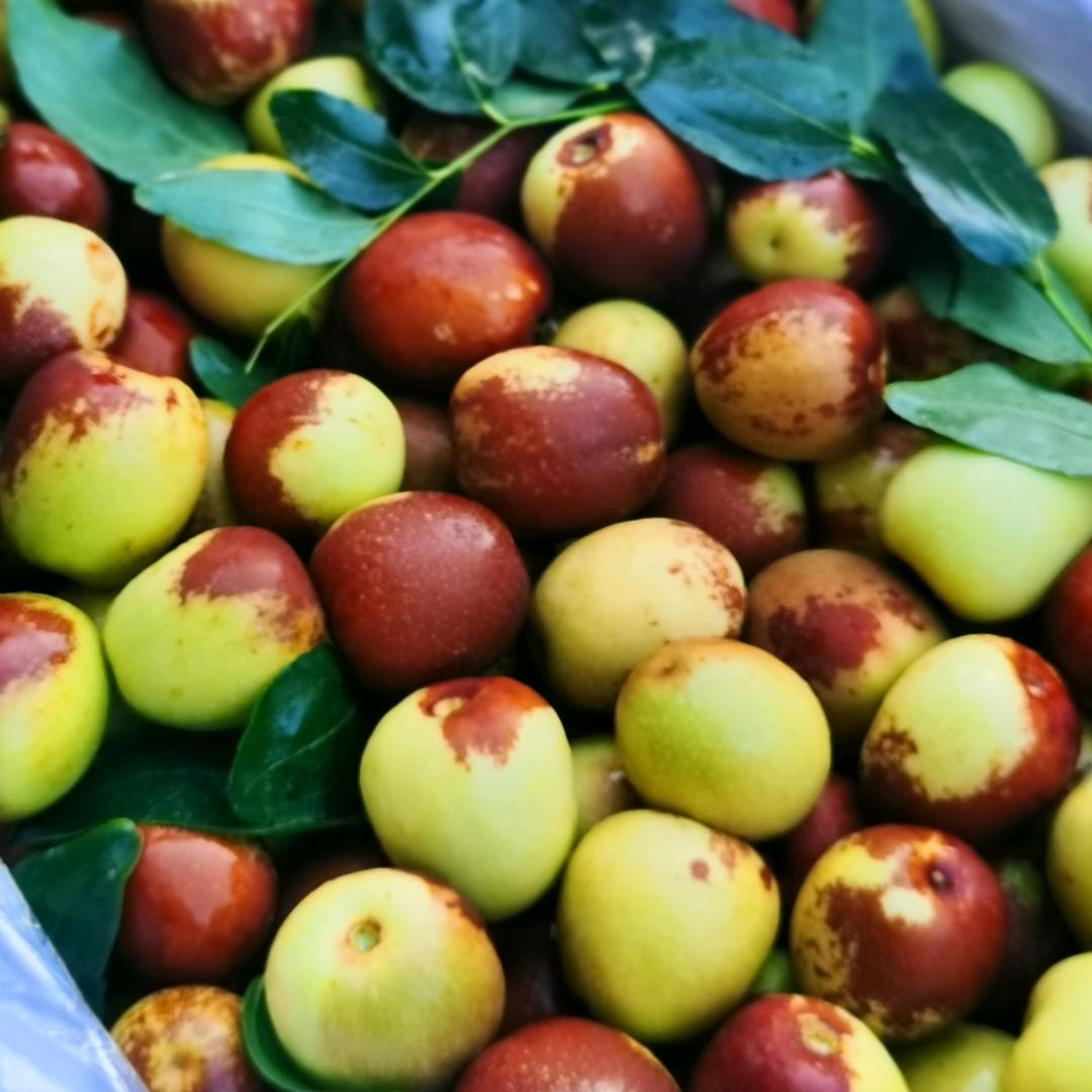 山东炒货 水果商行