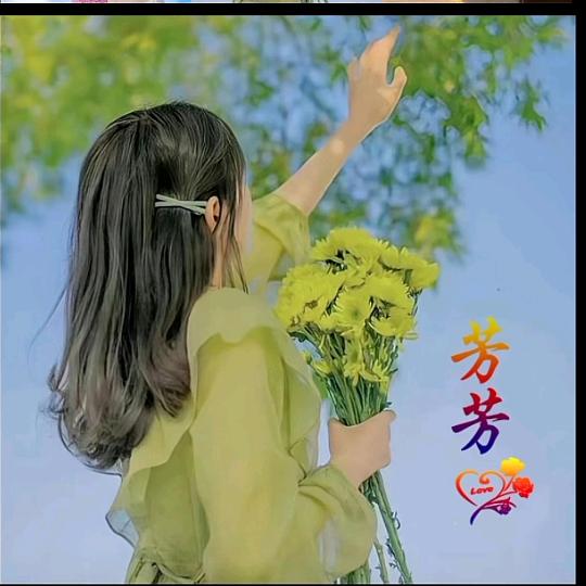 🍀芳🍀