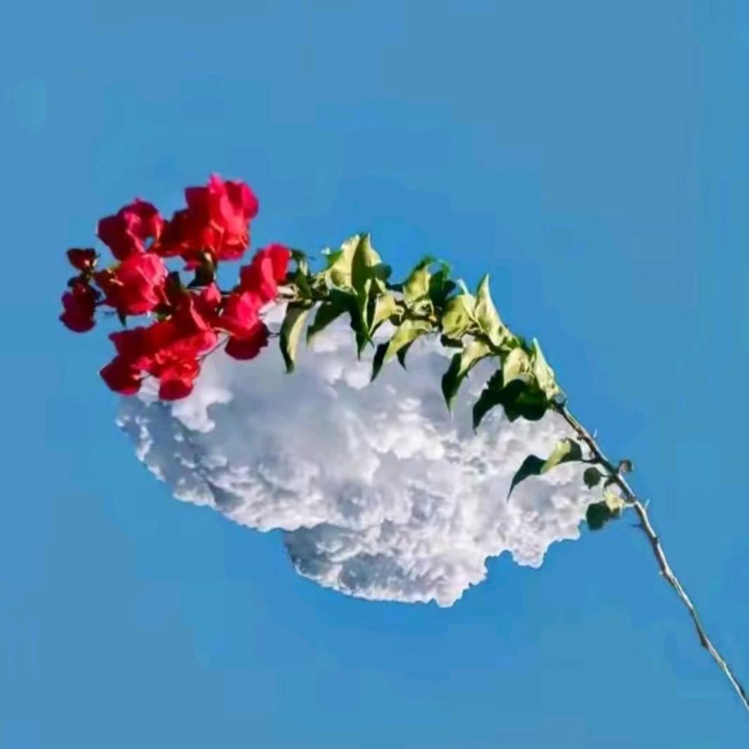 এ᭄别来无恙ོꦿ：
