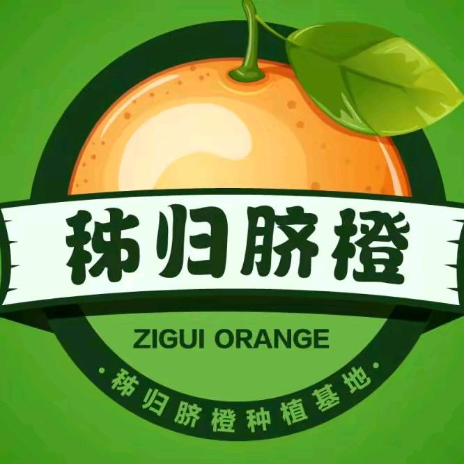 橙子哥🍊